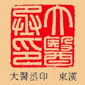 大醫,医丞印
