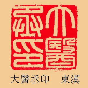 大醫,医丞印