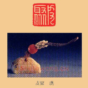 皮聚