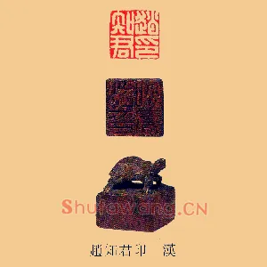 趙,赵知君印