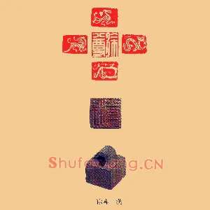 徐尊