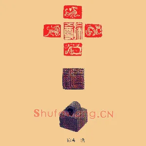 徐尊
