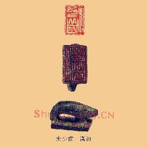 史少齒,齿