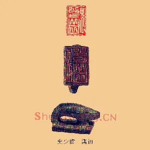 史少齒,齿