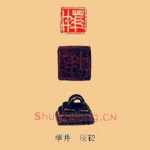 華,华井