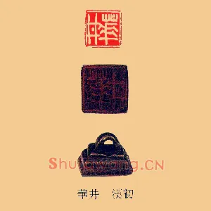 華,华井