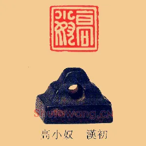 高小奴