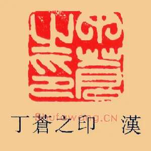 丁蒼,苍之印